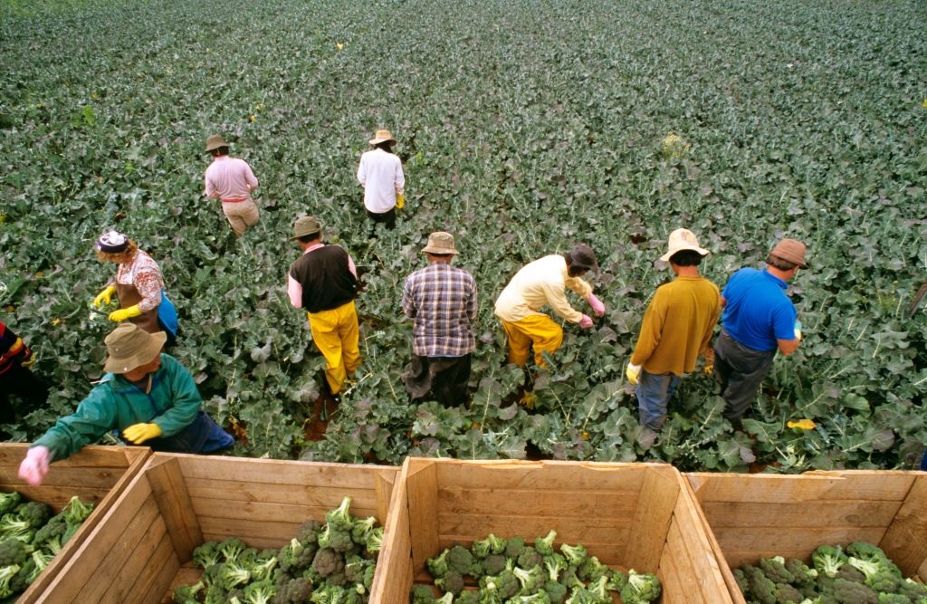 One step closer to fair pay for farm workers