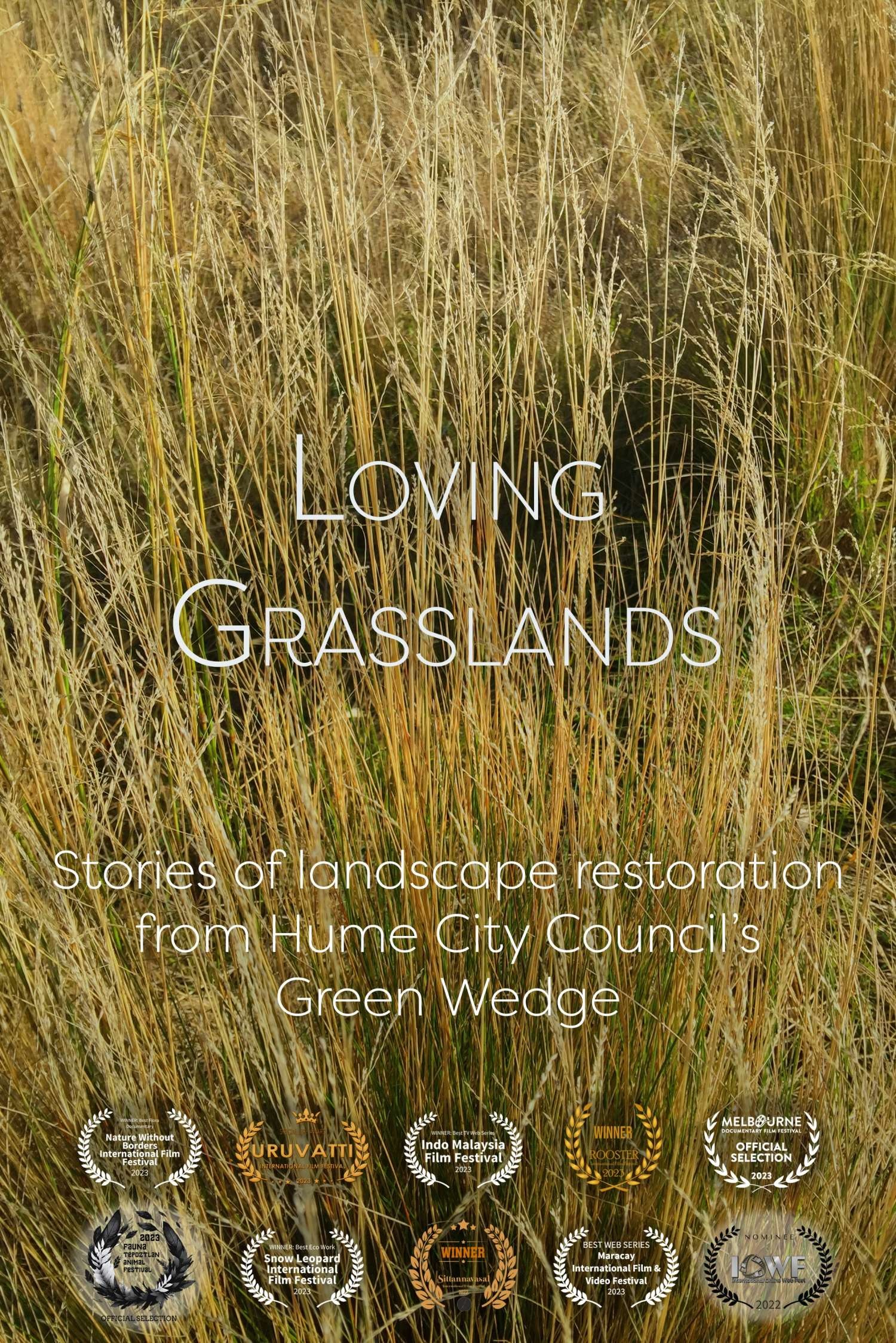 Loving Grasslands