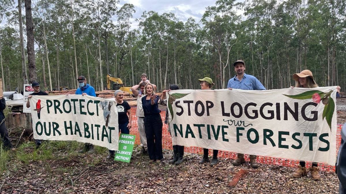 Save Bulga State Forest