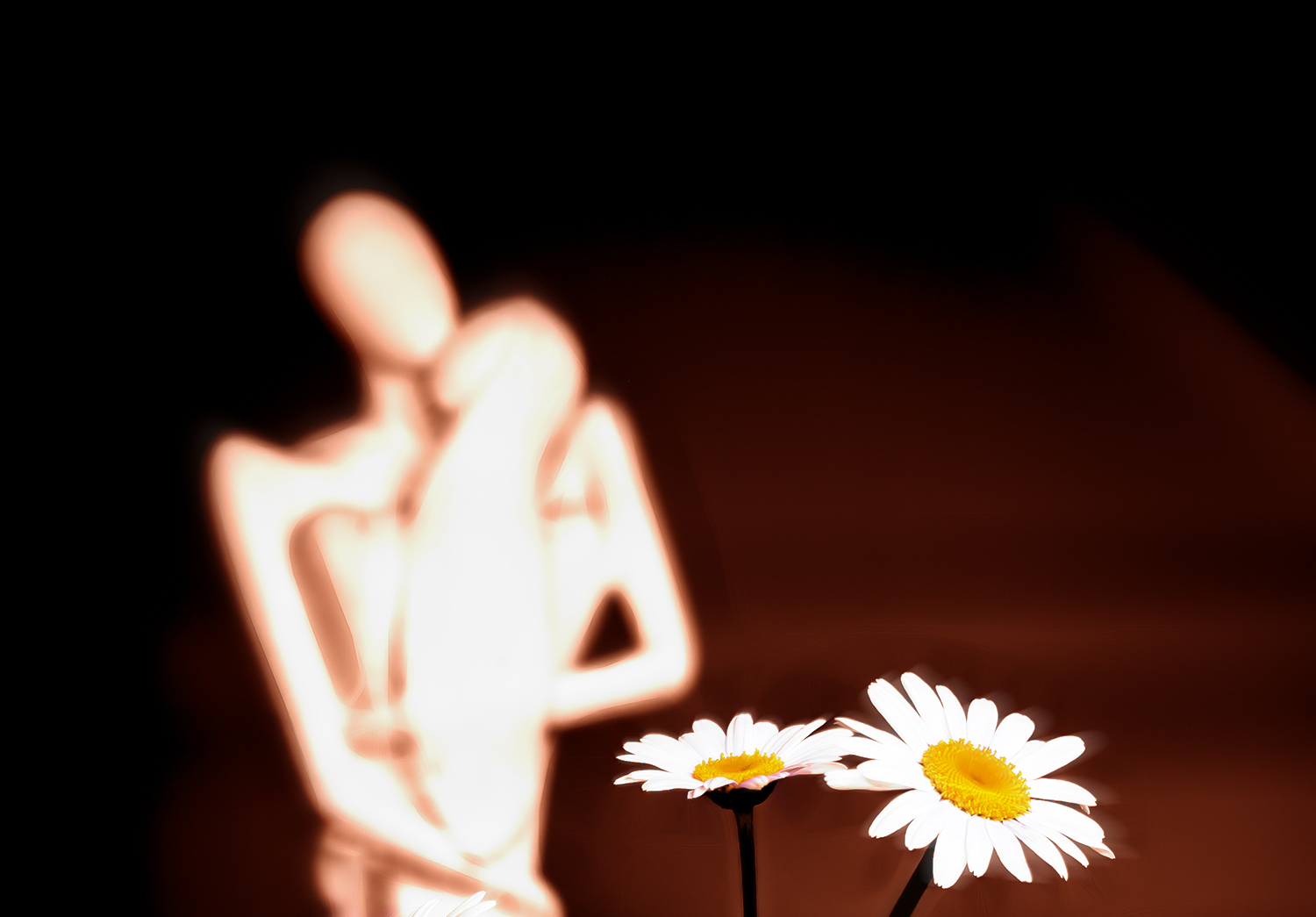 Tom´s photo gallery/Flickr