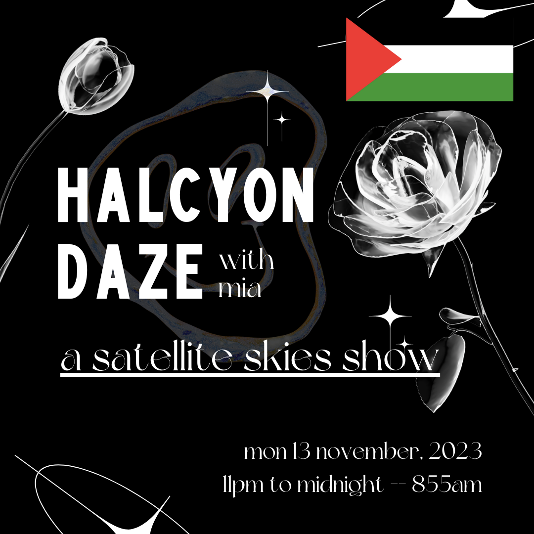 Halcyon Daze Episode 8 promotional tile, featuring Palestinian flag