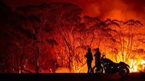 The 2020 bushfire season is staggering.