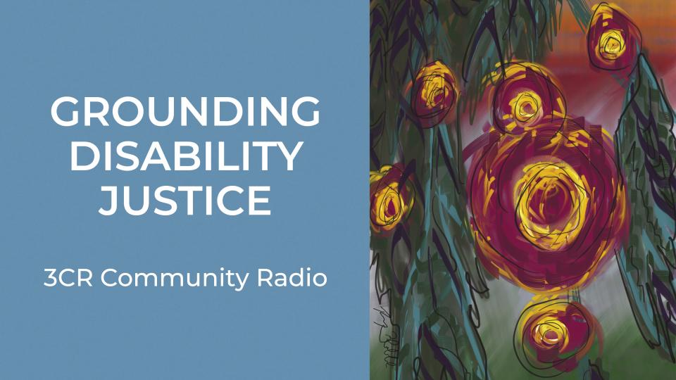 A digital artwork that features large, circular dark pink blooms. They appear hanging alongside long, green and blue foliage against a sunset coloured sky. The text is as follows: Grounding Disability Justice 3CR Community Radio. 