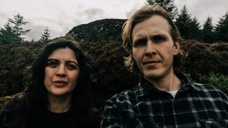 Dippers in Wicklow Mountains (2025)