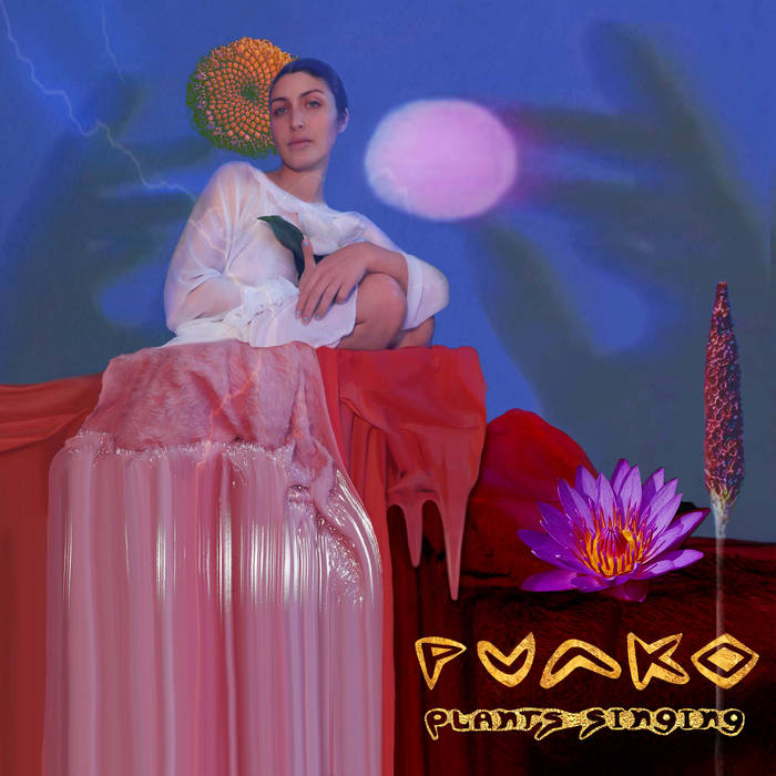 The album artwork for Plants Singing by Punko. A collage image featuring a picture of the artist, flowers, the night sky and the shadow of two hands