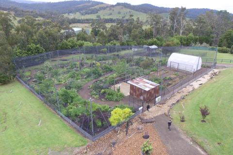 Edible Forest Yarra Valley