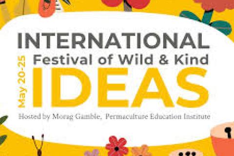 The International Festival of Wild and Kind Ideas