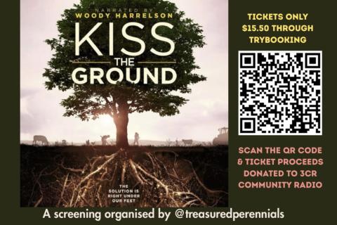 Kiss the Ground Sassafras