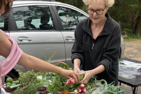 The gift economy - food swaps