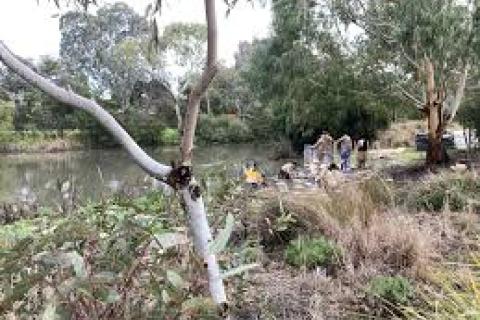Rain Moth Community Nursery