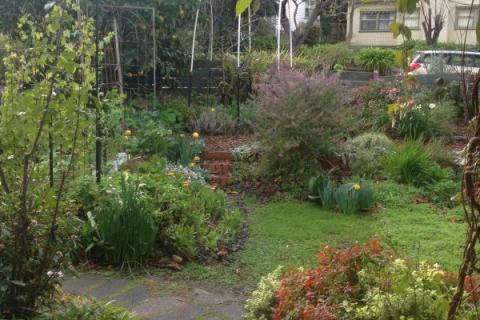 Olwyn Smiley's Food Garden in Heathmont