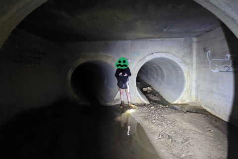Drain Spelunker Standing in a concrete junction that forks into two drains