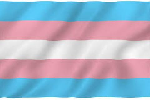 trans flag pink white blue stripes