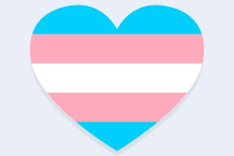 trans heart 