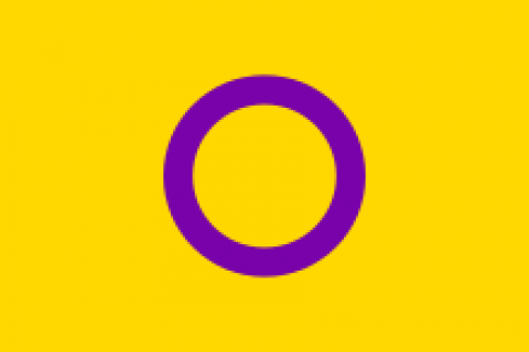 intersex flag purple circle on yellow background