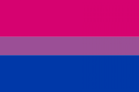 Bisexual flag horiztonal stripes top to bottom pink purple blue