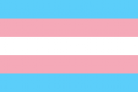 Trans pride flag blue pink white horizontal stripes