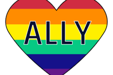 heart shape horizontal stripes in rainbow colours word ally written across meme