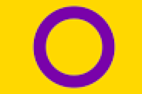 intersex flag purple circle on yellow backgrond