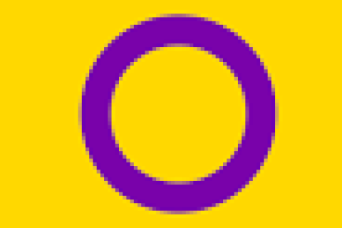 intersex flag yellow background puple circle