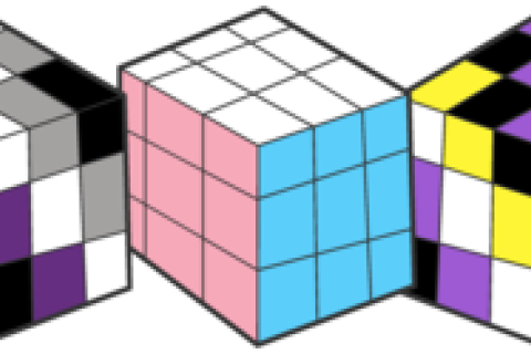 5 rubix cubes one each in bi, ace trans, non-binary and pan colours