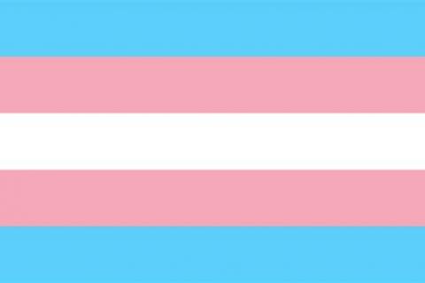 trans flag light blue pink and white horizontal stripes