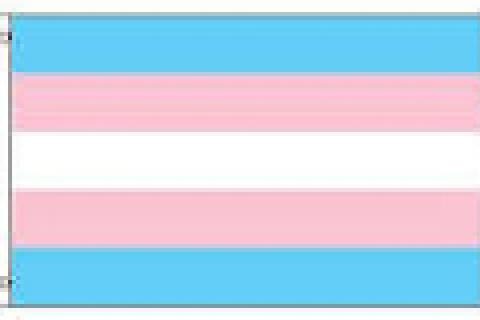 blue pink white horizontal stripes of trans flag