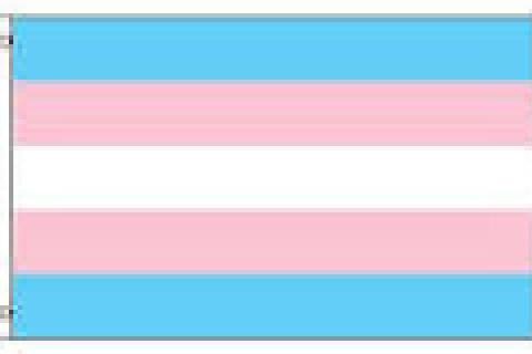 trans flag blue pink and white alternating horizontal stripes