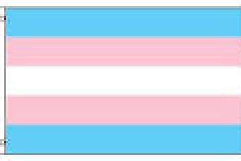 trans flag blue pink white horizontal stripes
