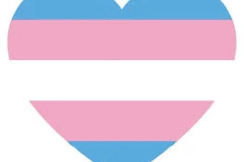 trans blue pink white horizontal stripes trans colours in heart shape