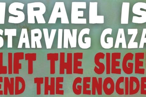 Image credit: 'israel is starving Gaza...' | instagram.com/freepalestinemelb