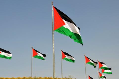 Six Palestine flags on poles
