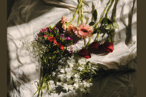 a top down image of flowers layed out