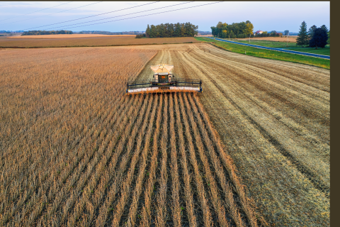 An image of a wheat farm being harvested