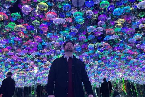 Voice Referendum Albanese Government LGBTIQA Policy