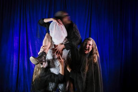 Reclaim the Crone, Karen Berger, The Space Performance Collective, Theatre Works