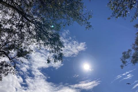 A holistic approach to embodied trauma - Chris