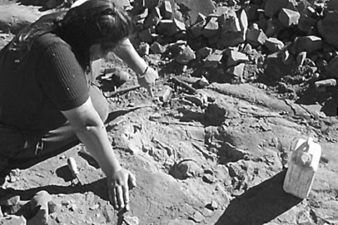 Paeleontologist Mary Wade from the Queensland Museum at a fossil dig site