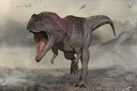 Illustration of the newly discovered dinosaur Meraxes gigas, which evolved big heads and small arms similar to Tyrannosaurus rex (Image by Carlos Papolio, CC BY-SA 4.0, via Wikimedia Commons)