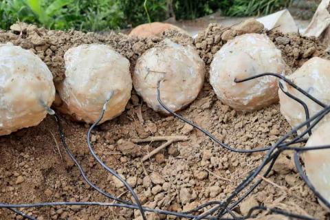 Artificial dinosaur eggs with electrodes (Credit: Su, C. et al / Frontiers)