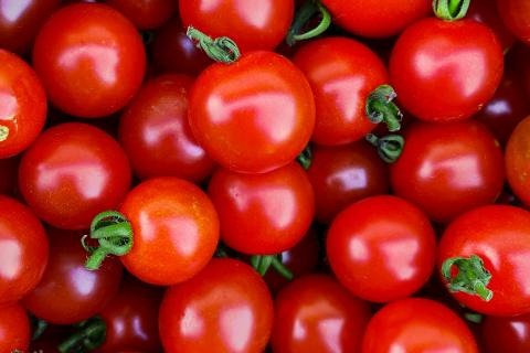 Tomatoes