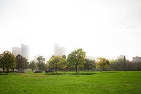 Urban parkland