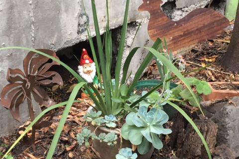 While Tim was on air his partner weeded our back garden. Legend!!