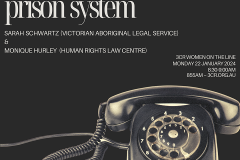 A black and white image with the title, 'Privatisation in the Prison System', and a large image of a telephone in the bottom right corner.