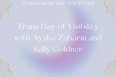 an opaque purple and blue crescent moon with gold embelish on the sides. Inside is text that reads trans day of visibility with aysha zaharin and sally golder.