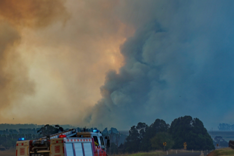 A CFA truck drives towards a plume of bushfire smoke along a rural road