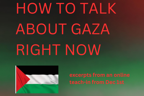Red text reading "How to talk about Gaza right now: excerpts from an online teach-in" above a Palestinian flag over a red, green, white and black gradient background