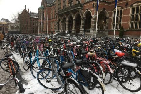 Image credit: Jo Cruickshank