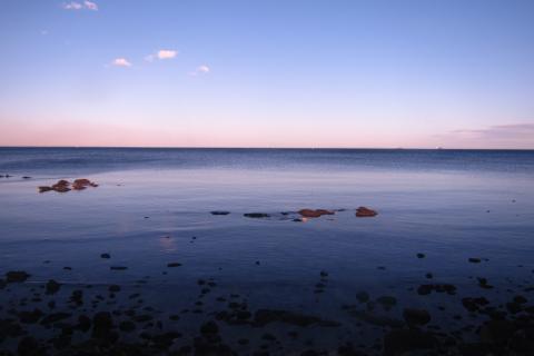 Point Cooke Marine Sanctuary, a haven for marine discovery