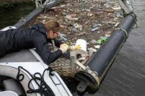 Nikki checking litter trap